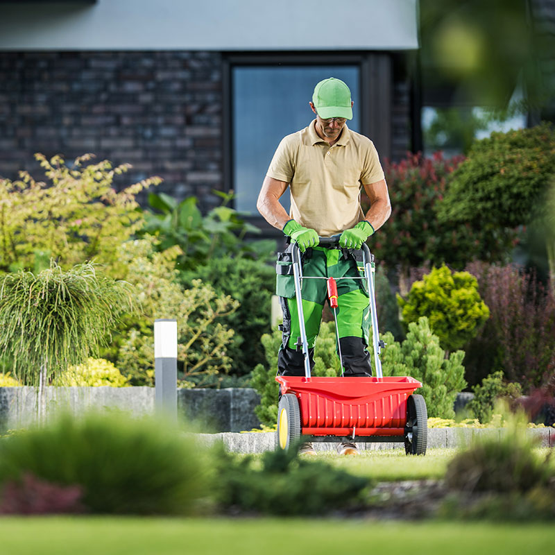 lawn-care-services