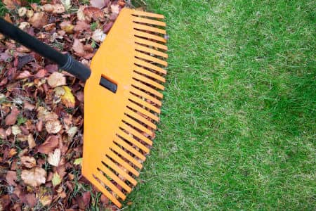 The Benefits of Seasonal Leaf Removal  Thumbnail
