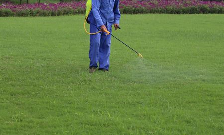 Chemical Maintenance: The Secret to a Lush and Vibrant Lawn Thumbnail