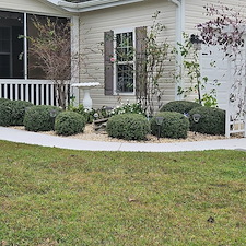 Cleanup-of-Hedges-and-other-Schrubs 1