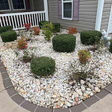 Hedge-Maintenance-and-Fertilizer 0