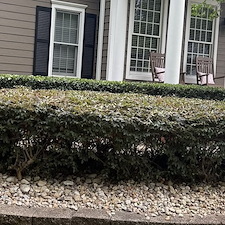 Hedge-Trimming-In-Conway-South-Carolina 1