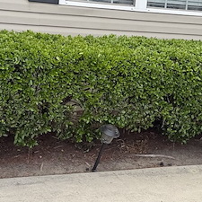 Hedge-Trimming-In-Conway-South-Carolina 3