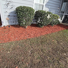 High-Quality-Mulch-Installation-Conway-SC 7