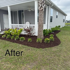 Mulch-Installation-with-Hedge-Trimming 1