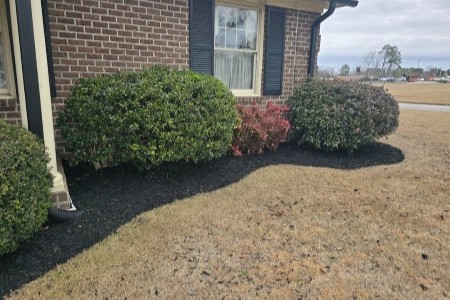 Mulch & Pinestraw Installation