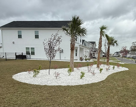 Rock & Plant Installation